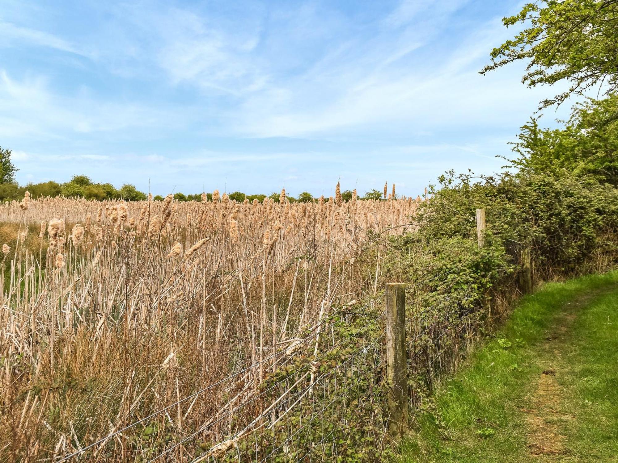 Vila The Roost Holme-next-the-Sea Exteriér fotografie